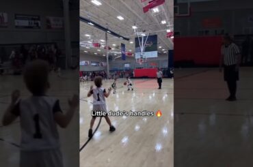 The Best Basketball Handles