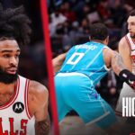 HIGHLIGHTS: Chicago Bulls beat Hornets 104-91 | Zach LaVine and Nikola Vučević return