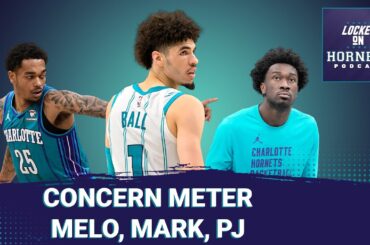 Concern Meter: LaMelo Ball, Mark Williams, PJ Washington + an update on Bally Sports Hornets