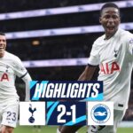TOTTENHAM HOTSPUR 2-1 BRIGHTON // PREMIER LEAGUE HIGHLIGHTS // 90+6 MINUTE WINNER