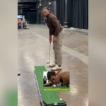 Putting with the fellas ⛳️ | Phoenix Suns