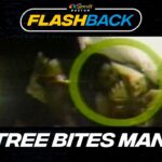 Flashback: Atlanta Hawks' Tree Rollins bites Danny Ainge during playoff game