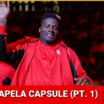 Atlanta Hawks: Clint Capela 2024 player capsule, strengths, weaknesses, projection (Part 1)