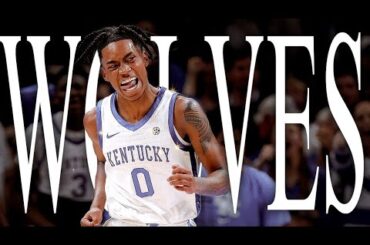 The Minnesota Timberwolves Got A Ridiculous Steal