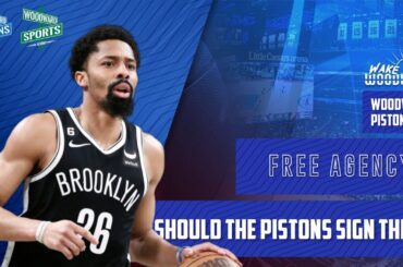 Should the Detroit Pistons SIGN These FREE AGENTS?!