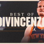 Donte DiVincenzo's best plays of 2023-2024 | New York Knicks