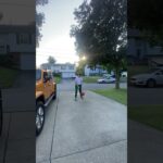 When your a d1 player and make a 3 pointer like Steph curry on the warriors 😱🔥#shorts