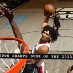 Every Shaedon Sharpe Dunk Of The 2023-24 Season | Portland Trail Blazers