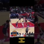 Planning of Hawks for Hornet playin