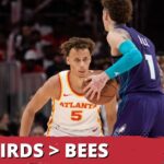 POSTCAST: Atlanta Hawks Win Birds And Bees Battle Versus Charlotte Hornets For Division Supremacy