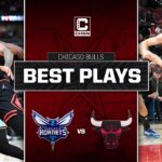 Chicago Bulls Team Highlights vs. Charlotte Hornets - Game Highlights | CHSN Chicago Bulls