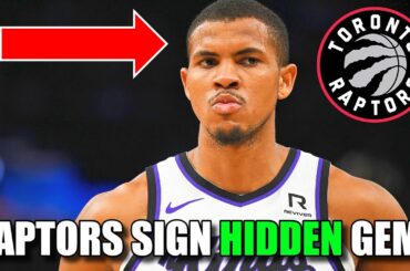 Raptors Sign Center Orlando Robinson! Under The Radar Signing?