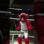 Paul George deixou o mascote dos Bulls bravo!!! 🤣 #NBA #shorts
