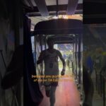 DUBS 🗣️ #shorts | Phoenix Suns