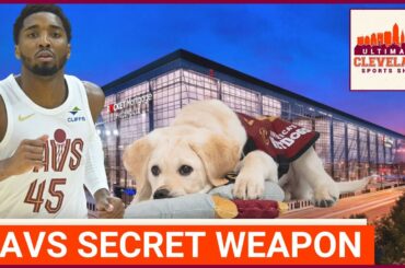 The Cleveland Cavaliers have a new secret weapon & are ON FIRE since his arrival