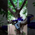 Are the Sacramento Kings okay? #NBA #BASKETBALL #SACRAMENTO #SACRAMENTOKINGS #nbabasketball