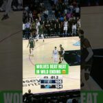 Chaotic final 8 seconds in Wolves-Heat game 👀