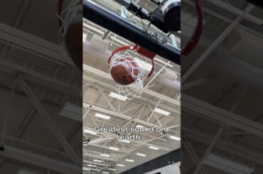 facts. #asmr #basketball #zen