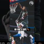 The Poster Child 🐜