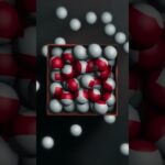 A rep that sets the tone for Rip City’s hustle and heart. #nba #basketball #nbadraft #toumanicamara