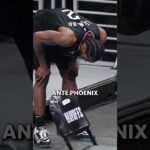 La Caída de Los Angeles Clippers 👎 Un Fracaso Estrepitoso