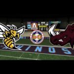 AAFA 2025 Season Week 12 - Pittsburgh Hornets (3-7) @ Michigan Rhinos (4-6)