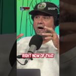 Not even winning a championship for the Toronto Raptors can provide job security in the NBA