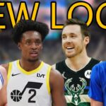 The Hornets Are Having The BEST Offseason In The NBA