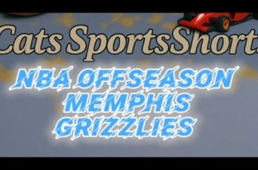 Memphis Grizzlies Offseason: Did they improve or get worse? #viral #video #foryou #shortvideo #nba