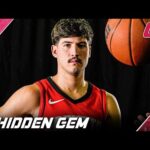 The Houston Rockets Are Hiding A MONSTER...