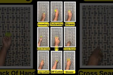 All Variations Of A Pacer #shorts #cricket #cricketfans #pacers #cricketlove #cricketers #viral