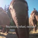 2025-2026 NBA Cup Schedule Release | Portland Trail Blazers