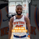 some of these voices are... interesting 👀🐶 #knicks #nba #basketballshorts #dogvoice #mikalbridges