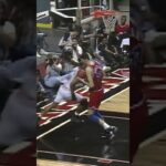 Alonzo Mourning Career High - 1996 Miami Heat vs Washington Bullets