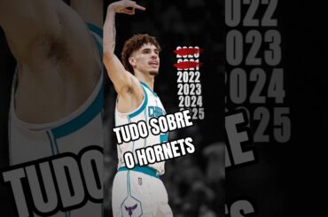 APRENDA SOBRE O HORNETS