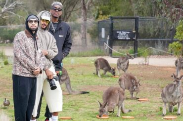 Pelicans visit zoo in Australia | NBA x NBL Melbourne Series 10/2/2025