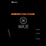 僕の足型で選ぶサイズ【Way Of Wade編】 #バッシュ #wayofwade