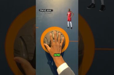 How big are basketball players’ hands?🏀