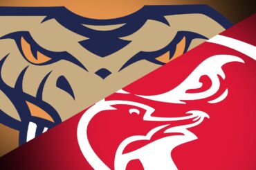 NBL26 Round 8 | Cairns Taipans vs Illawarra Hawks