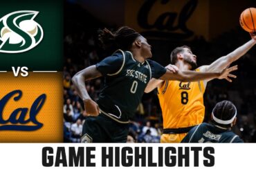 Sacramento State vs Cal Game Highlights | 2025-26 ACC Men's Basketball