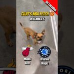 Cujo’s NBA Fetch | Miami Heat vs Orlando Magic 🐕 12-05-2025 NBA Basketball