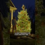 Oh Christmas tree…🎄🏀 | (Via motivatedbymylan/IG)