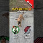Cujo’s NBA Fetch | Boston Celtics vs Portland Trail Blazers 🐕 12-28-2025 NBA Basketball