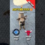 Cujo’s NBA Fetch | Orlando Magic vs Chicago Bulls 🐕 NBA Basketball Jan 2