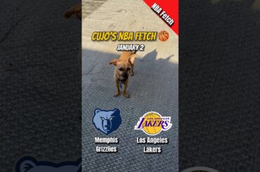 Cujo’s NBA Fetch | Memphis Grizzlies vs Los Angeles Lakers 🐕 NBA Basketball Jan 2