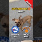 Cujo’s NBA Fetch | Philadelphia 76ers vs New York Knicks 🐕 01-03-2026 NBA Basketball