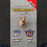 Cujo’s NBA Fetch | Thunder @ Suns 🐕 01-04-2026 NBA Basketball
