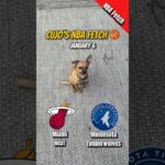 Cujo’s NBA Fetch | Miami Heat vs Minnesota Timberwolves 🐕 01-06-2026 NBA Basketball