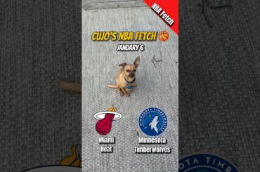 Cujo’s NBA Fetch | Miami Heat vs Minnesota Timberwolves 🐕 01-06-2026 NBA Basketball