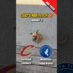 Cujo’s NBA Fetch | Cavaliers vs Timberwolves 🐕 01-08-2026 NBA Basketball